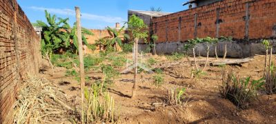 TERRENO À VENDA NO RESIDENCIAL JARDIM PAINEIRAS